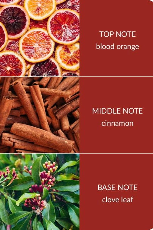 Orange Zest and Clove Bamboo Eco-Friendly Soy Candle