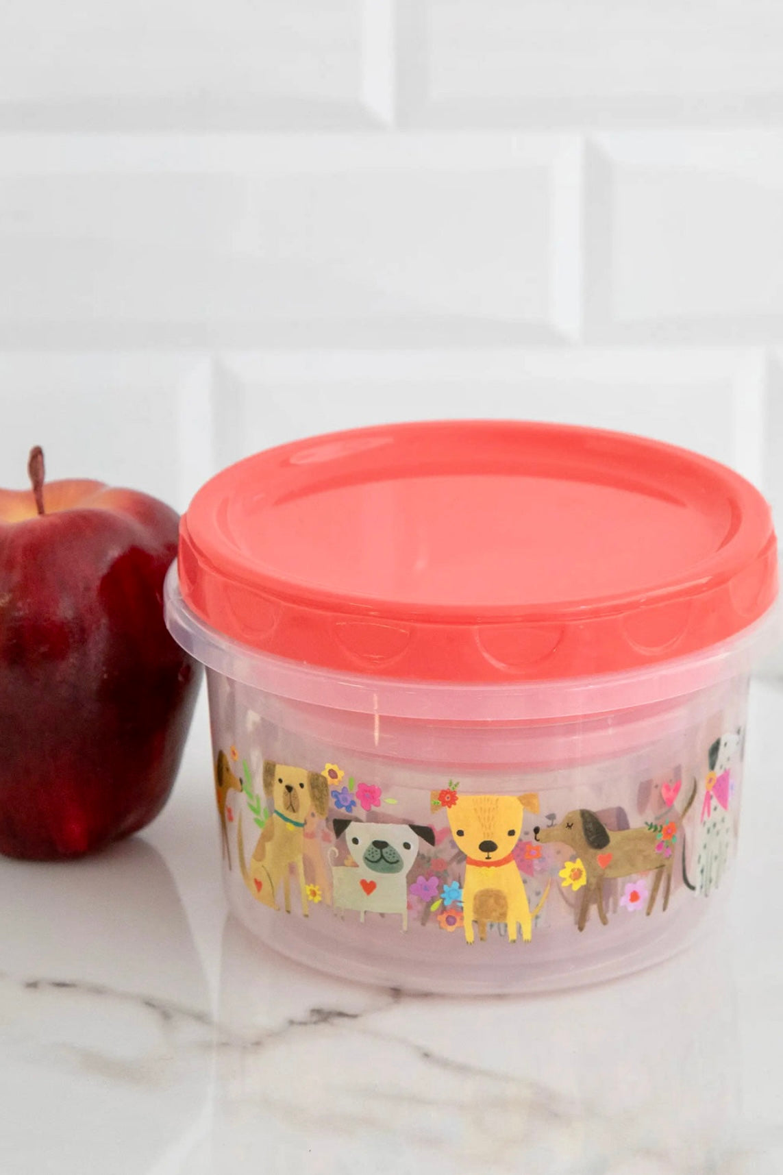 Natural Life Set of 3 Nesting Storage Containers- Choose Cats or Dogs