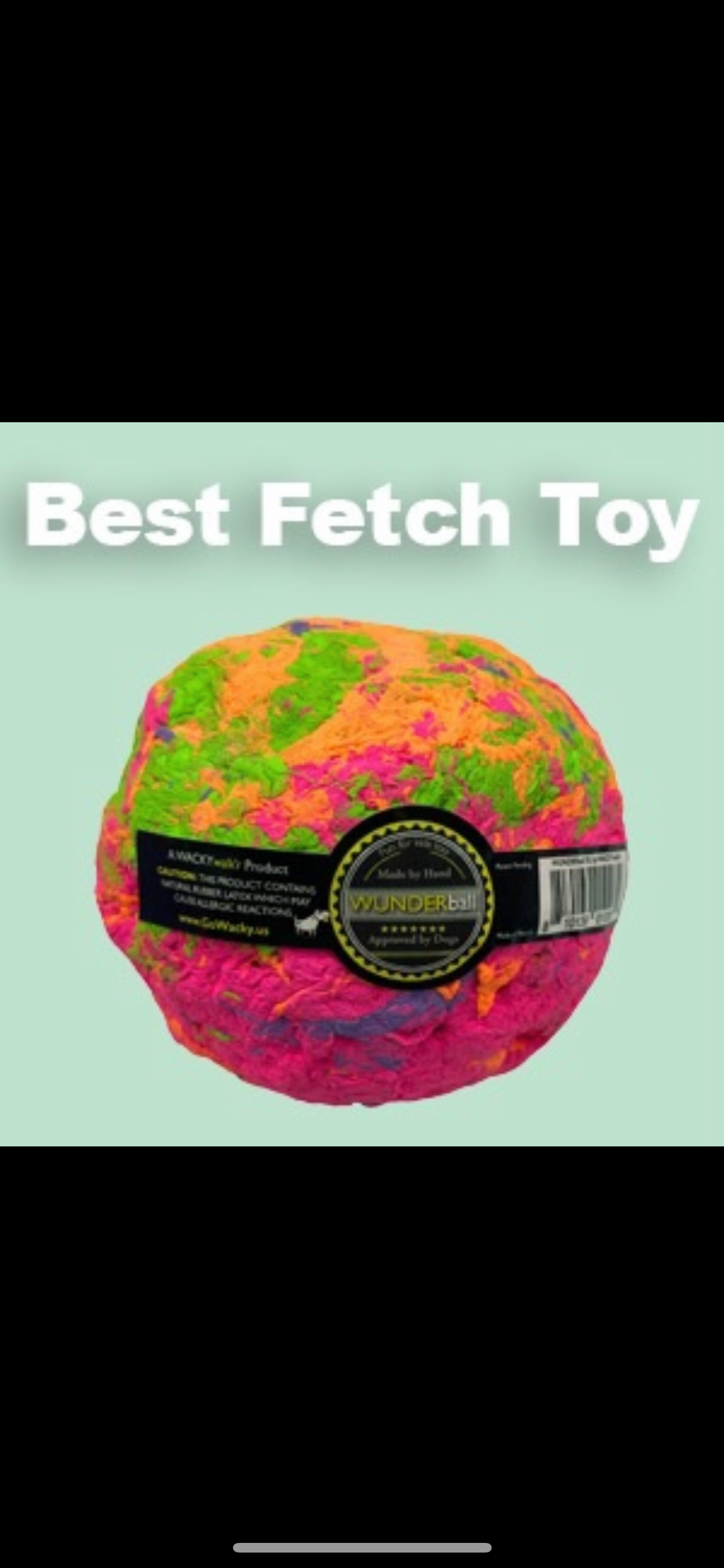 Wunderball Wacky Ball Fetch Toy for Dogs and Kids