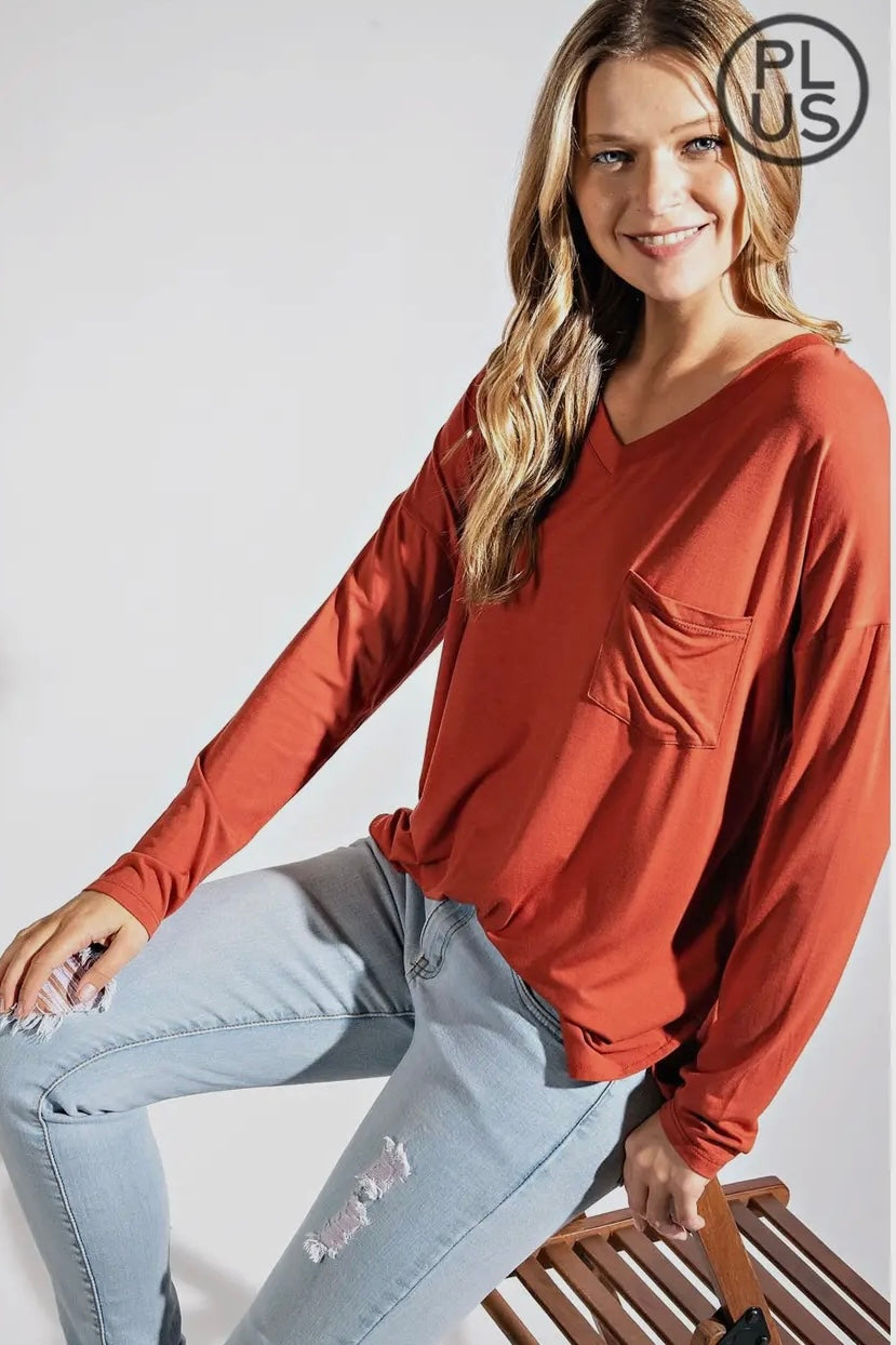 Cinnabar Plus Long Sleeve V Neck Top with Hi Low Hem