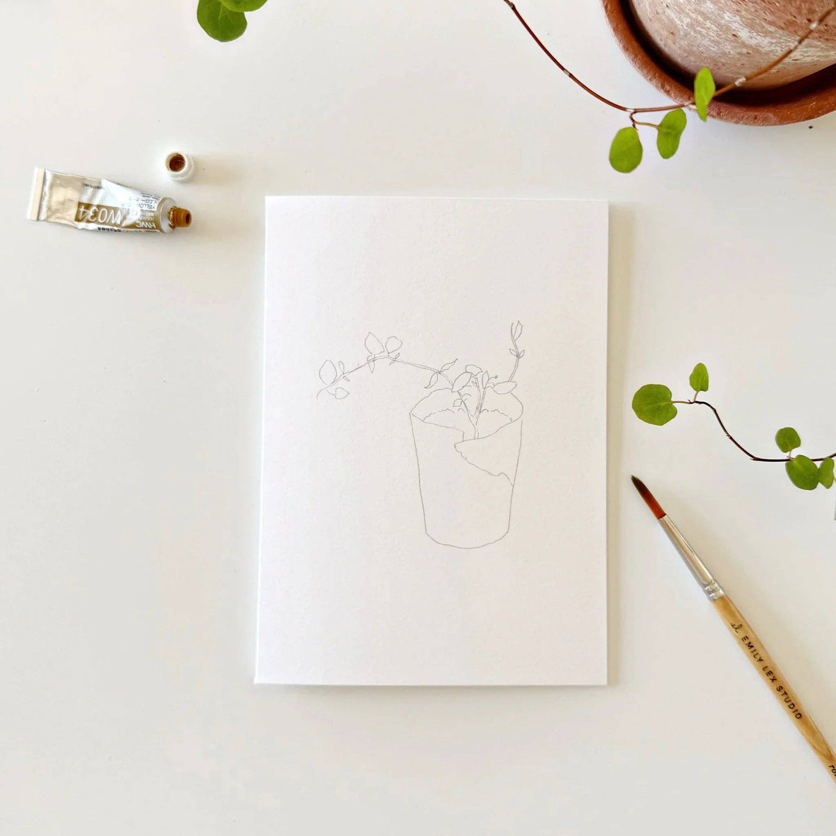 Potted Plants Paintable Watercolor Notecard Set of 8- Emily Lex Studio