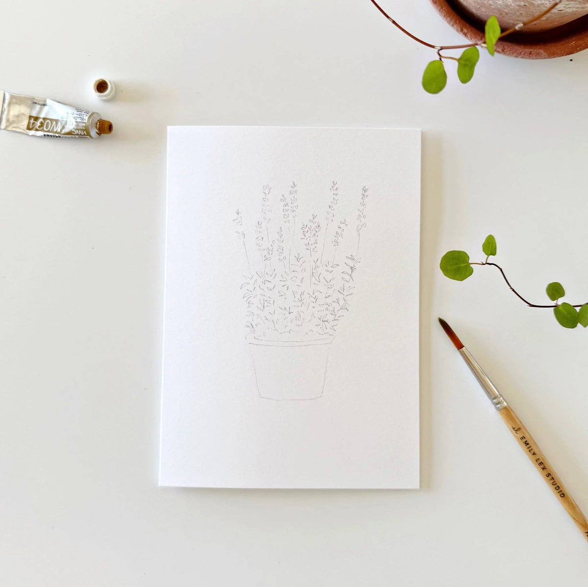 Potted Plants Paintable Watercolor Notecard Set of 8- Emily Lex Studio