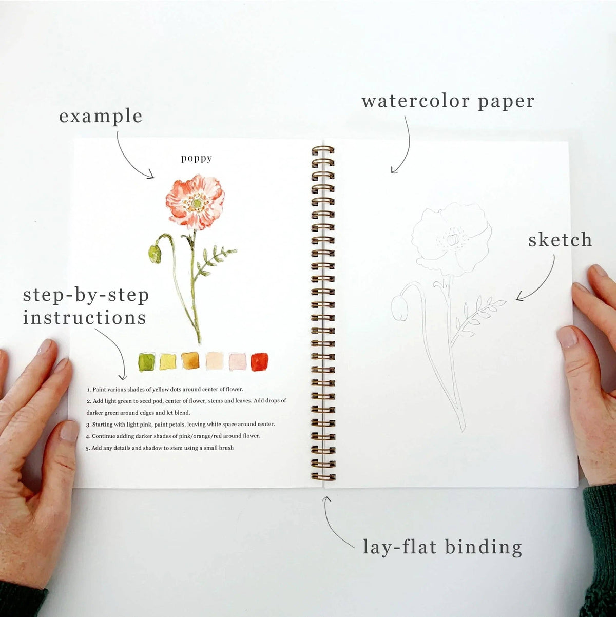Flowers Watercolor Workbook: Emily Lex Studio