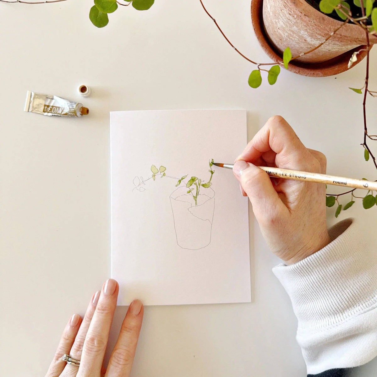 Potted Plants Paintable Watercolor Notecard Set of 8- Emily Lex Studio