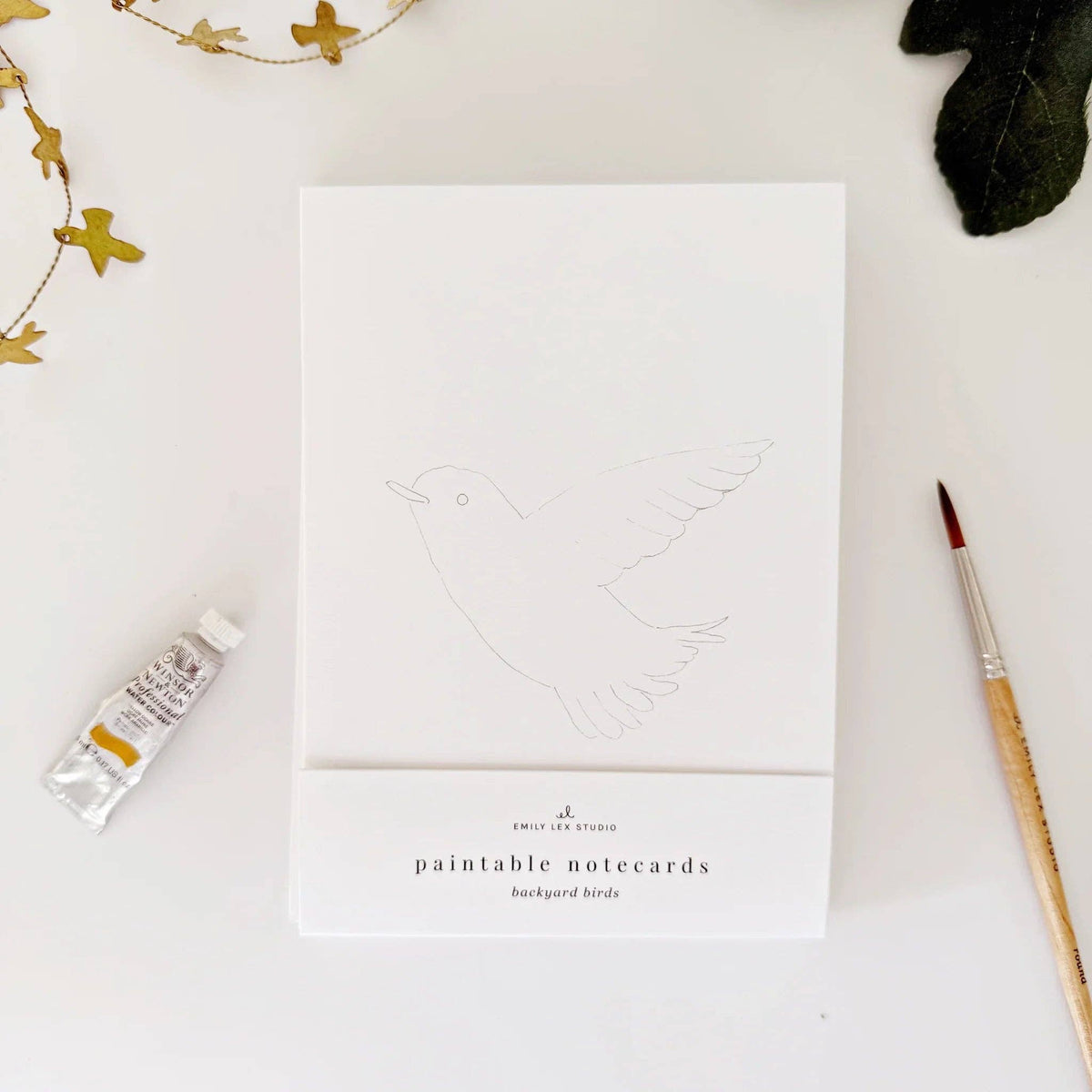 Birds Paintable Watercolor Notecard Set of 8- Emily Lex Studio