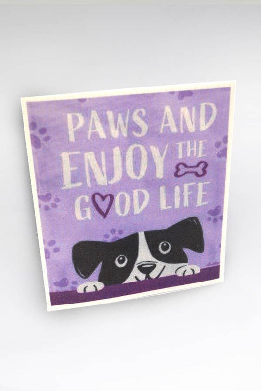 Eco Friendly Cellulose Reuseable Dishcloth- Paws
