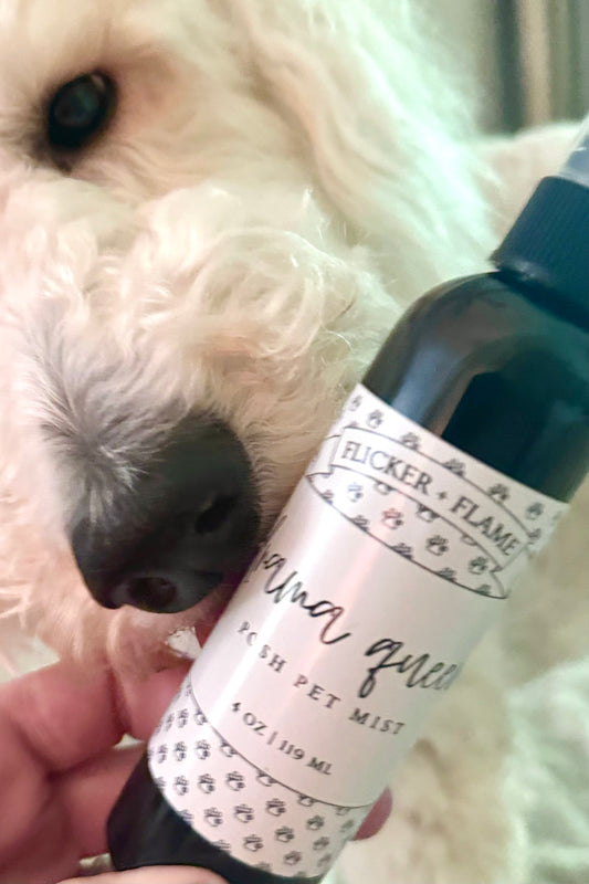 Posh Pet Mist- 4 ounce bottle (Choose your scent.)