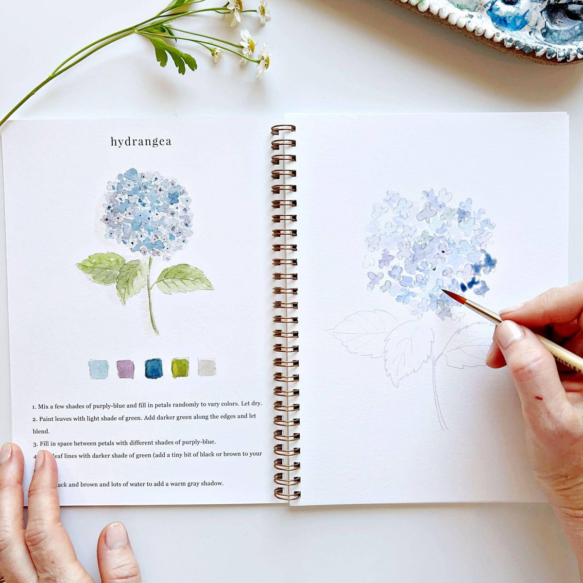 Flowers Watercolor Workbook: Emily Lex Studio