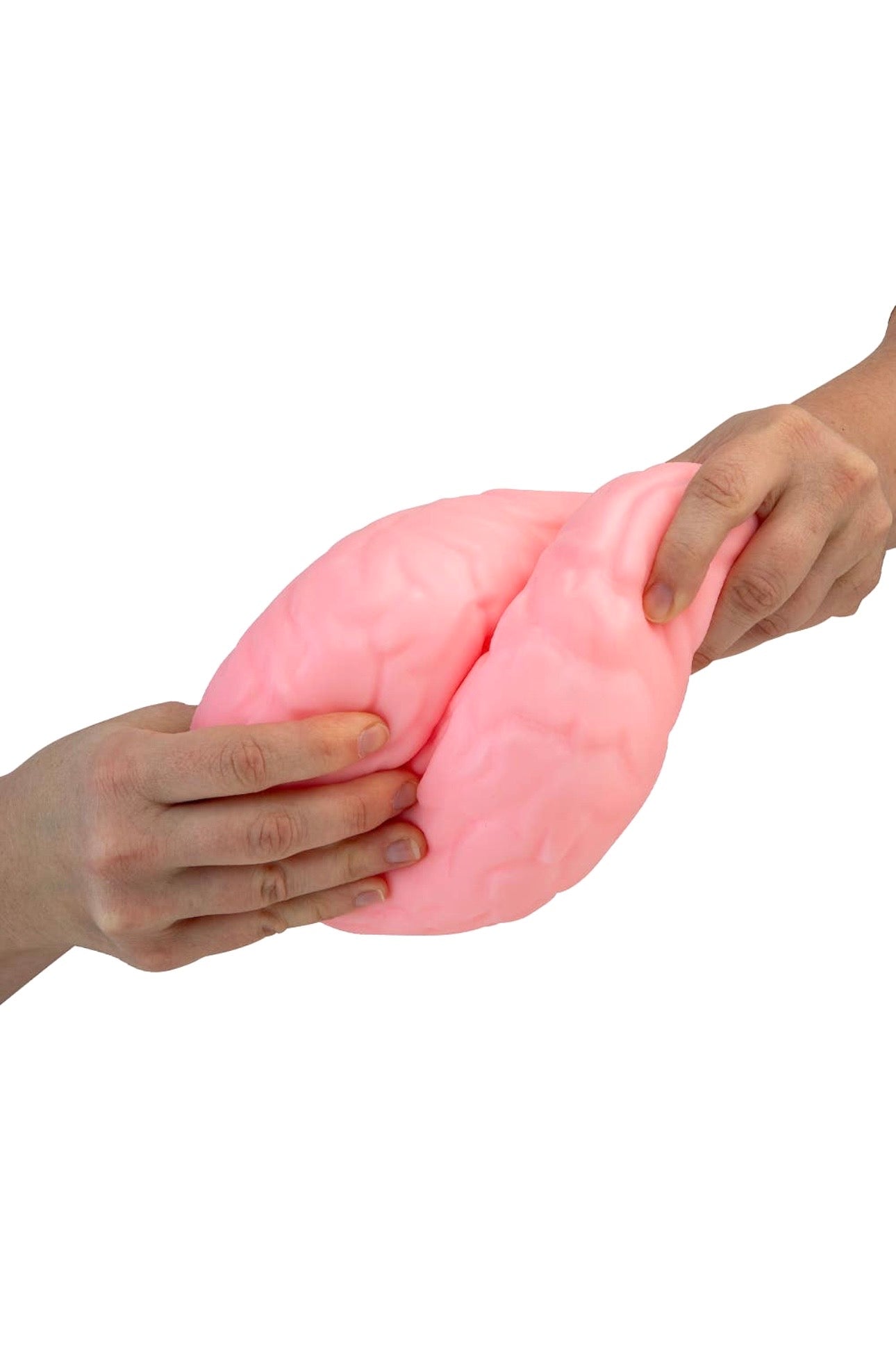 ORB Easy Sqweezy Jumbo Brainy Squishy
