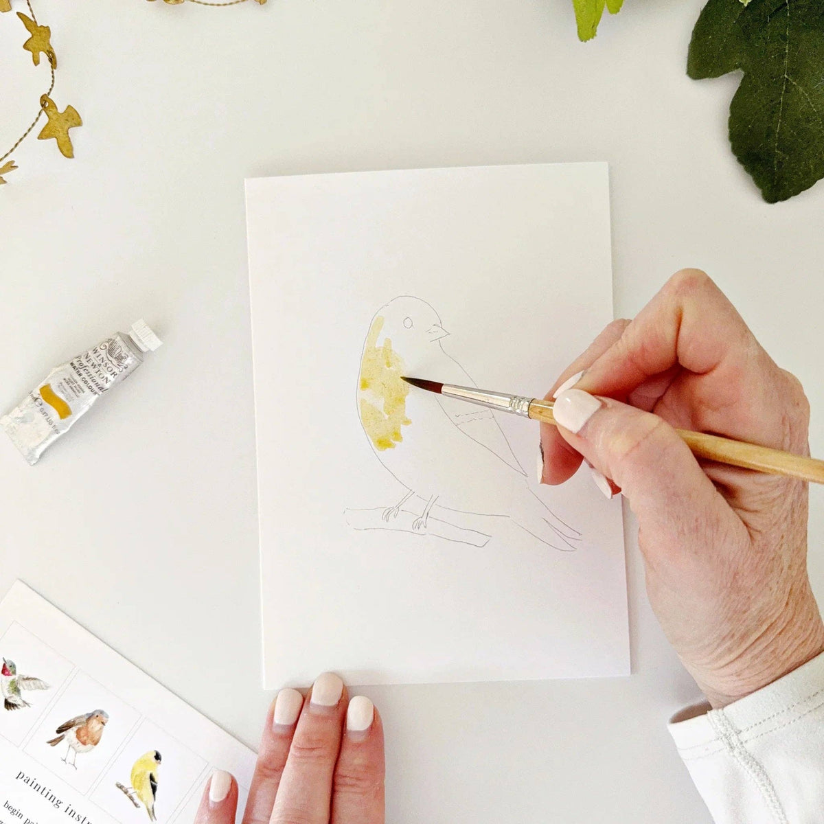 Birds Paintable Watercolor Notecard Set of 8- Emily Lex Studio