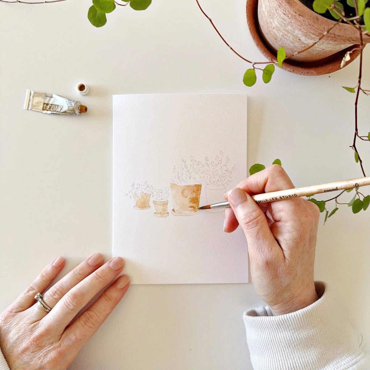 Potted Plants Paintable Watercolor Notecard Set of 8- Emily Lex Studio