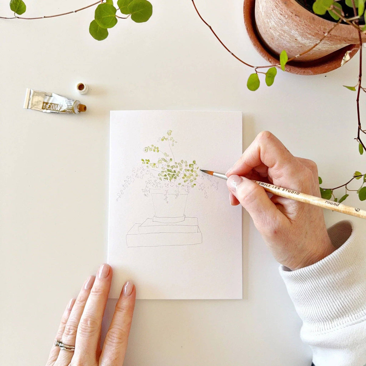 Potted Plants Paintable Watercolor Notecard Set of 8- Emily Lex Studio