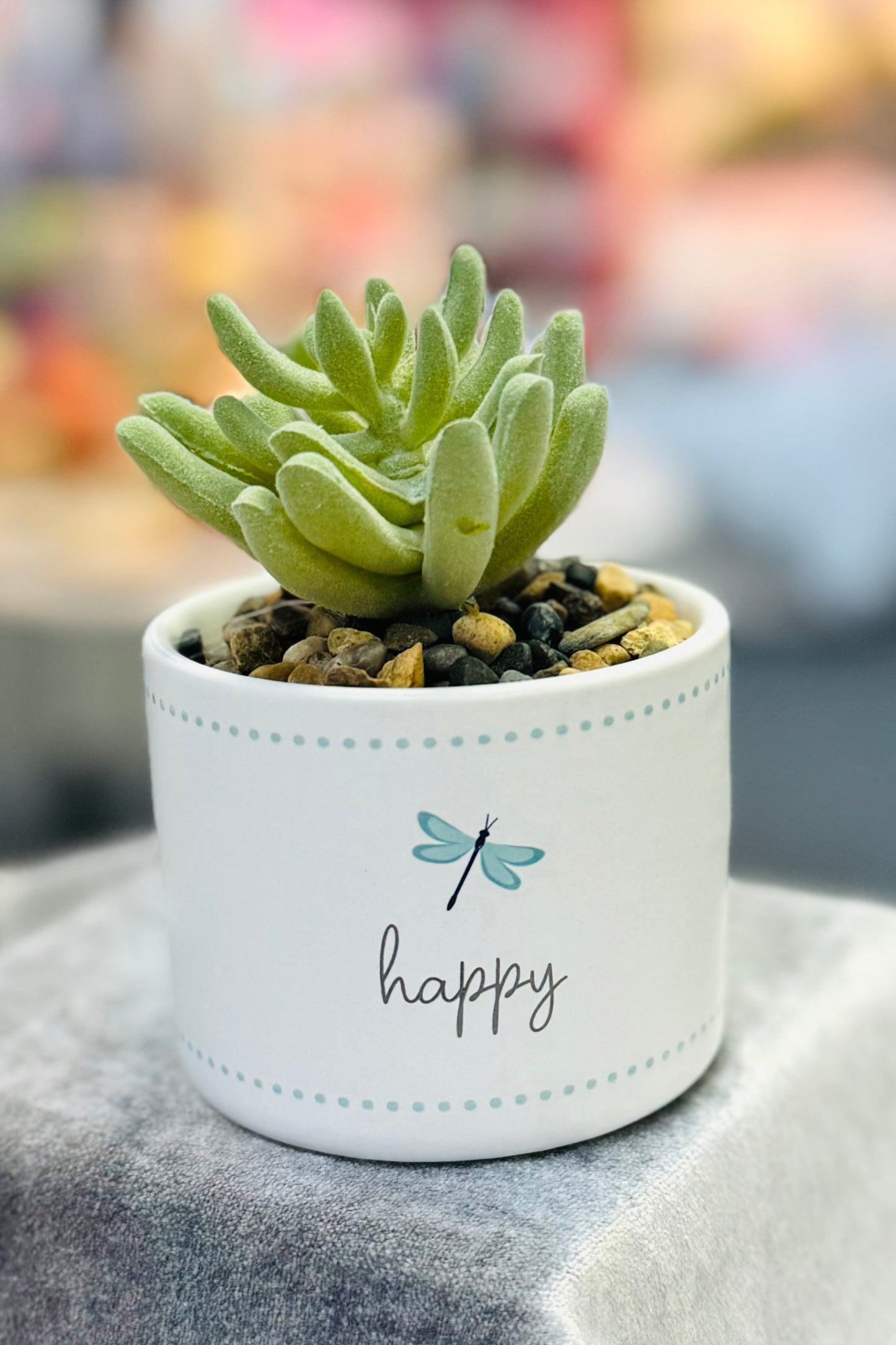 4.5" Artificial Potted Succulent Plant by Grateful Garden (choose your style)