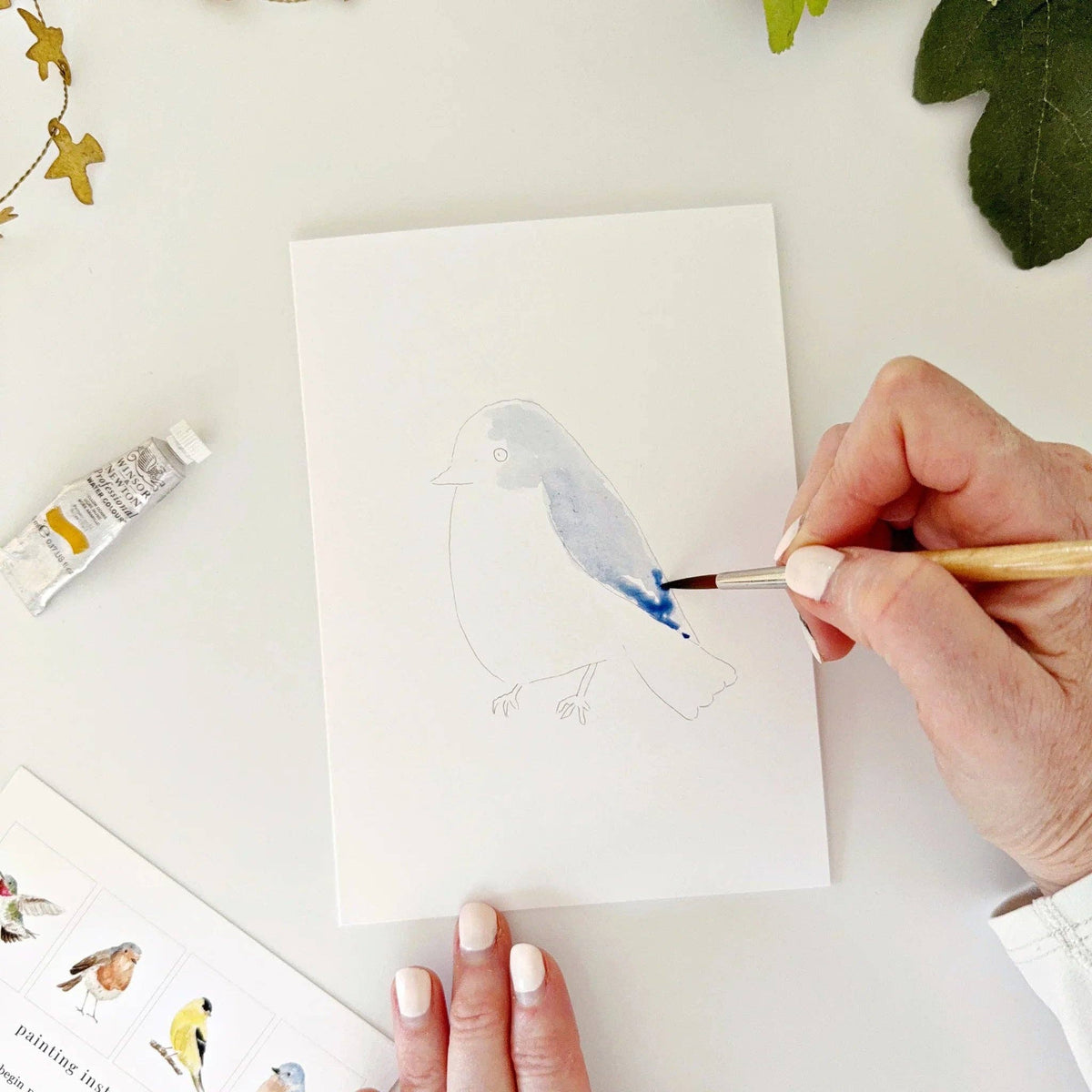 Birds Paintable Watercolor Notecard Set of 8- Emily Lex Studio