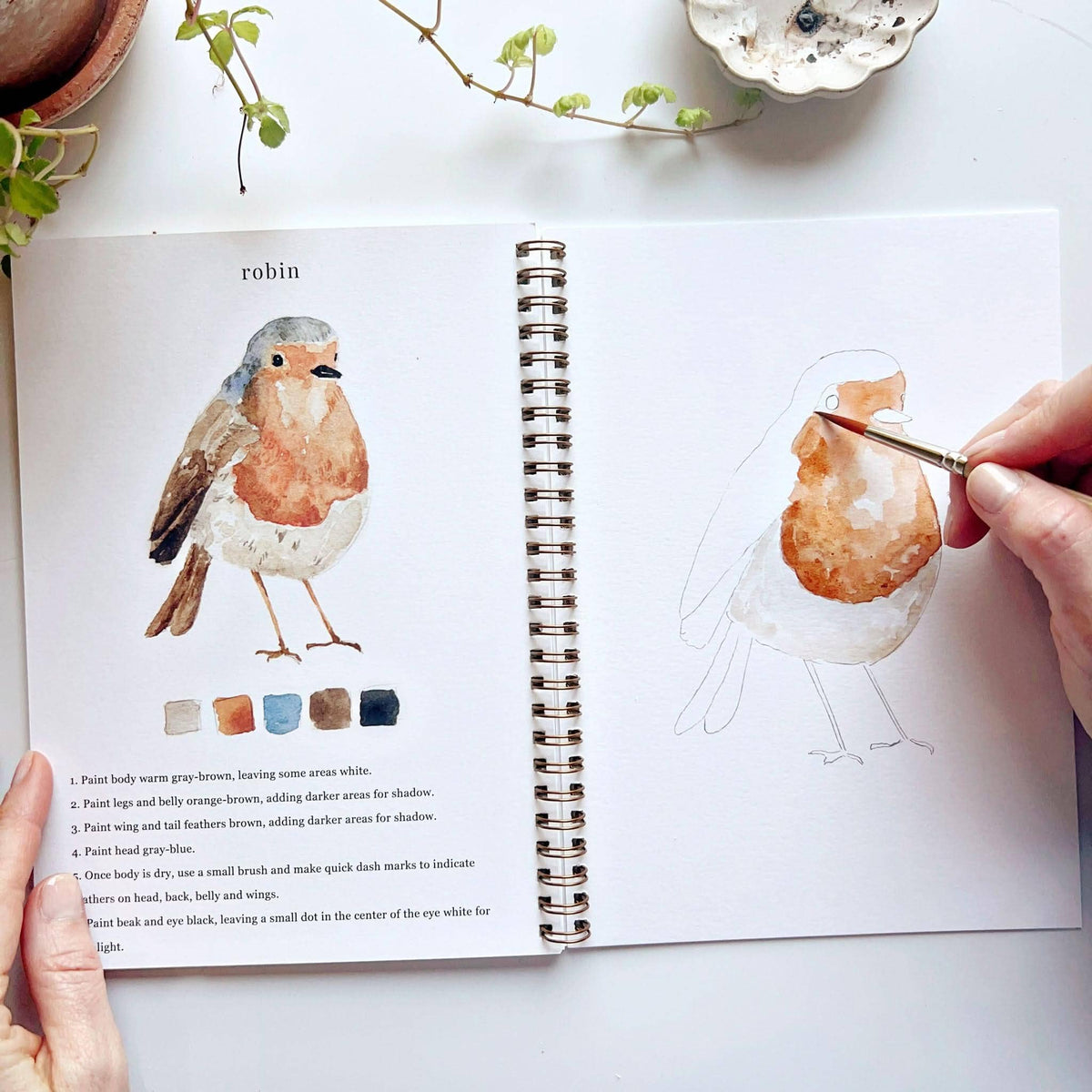 Birds Watercolor Workbook: Emily Lex Studio