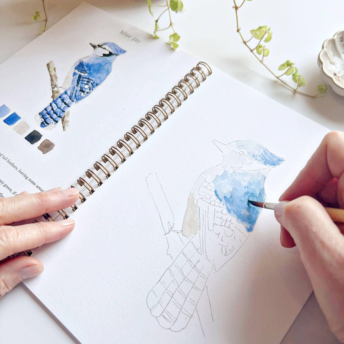 Birds Watercolor Workbook: Emily Lex Studio