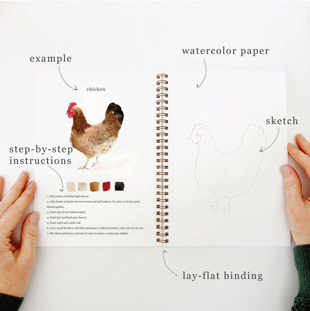 Animals Watercolor Workbook- Emily Lex Studio