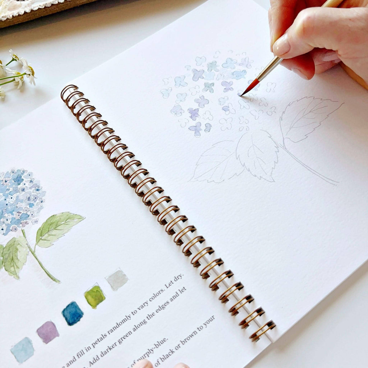Flowers Watercolor Workbook: Emily Lex Studio