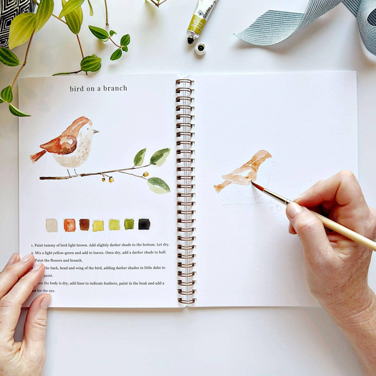 Animals Watercolor Workbook- Emily Lex Studio
