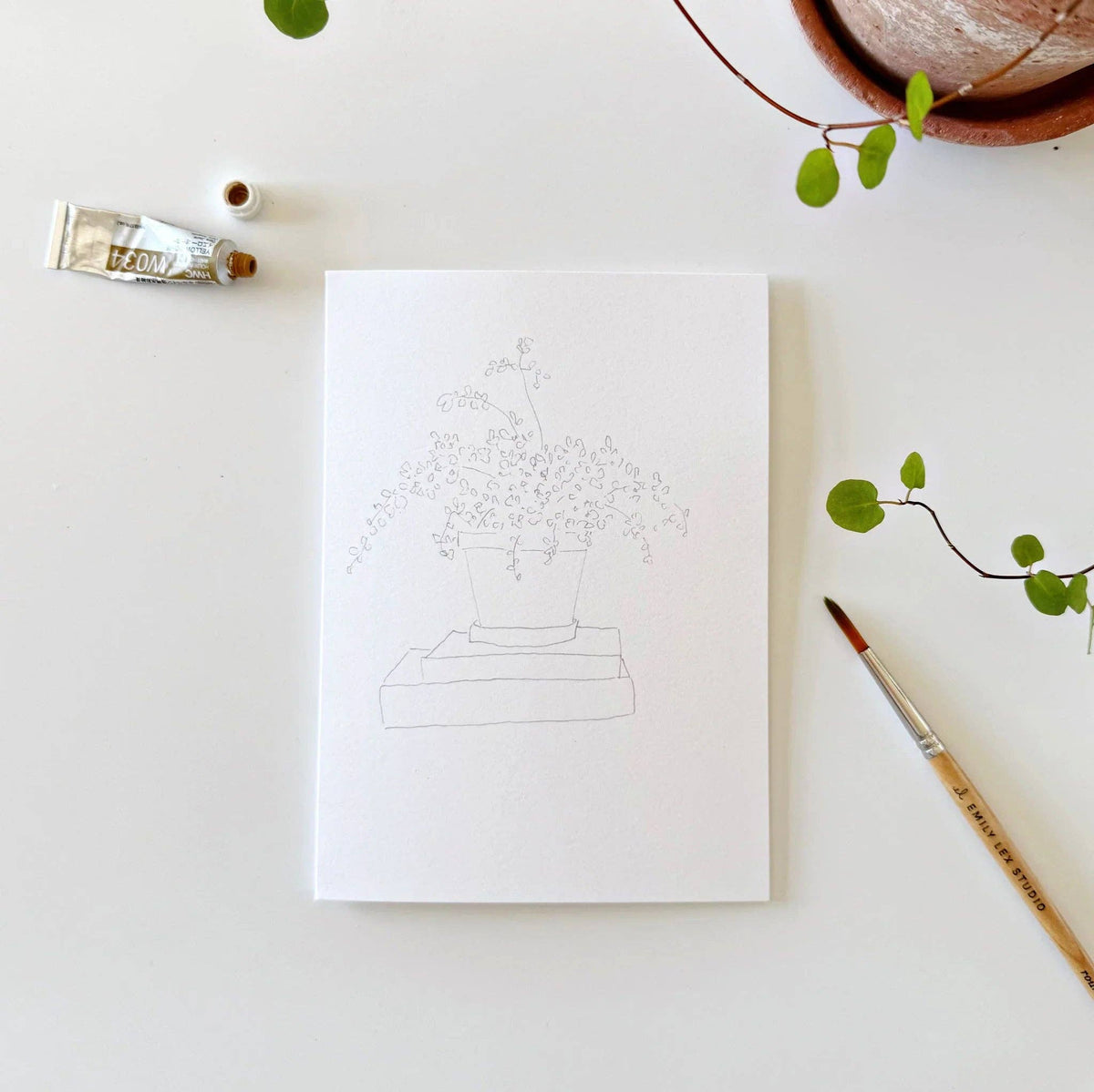 Potted Plants Paintable Watercolor Notecard Set of 8- Emily Lex Studio