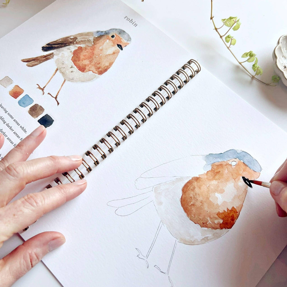 Birds Watercolor Workbook: Emily Lex Studio