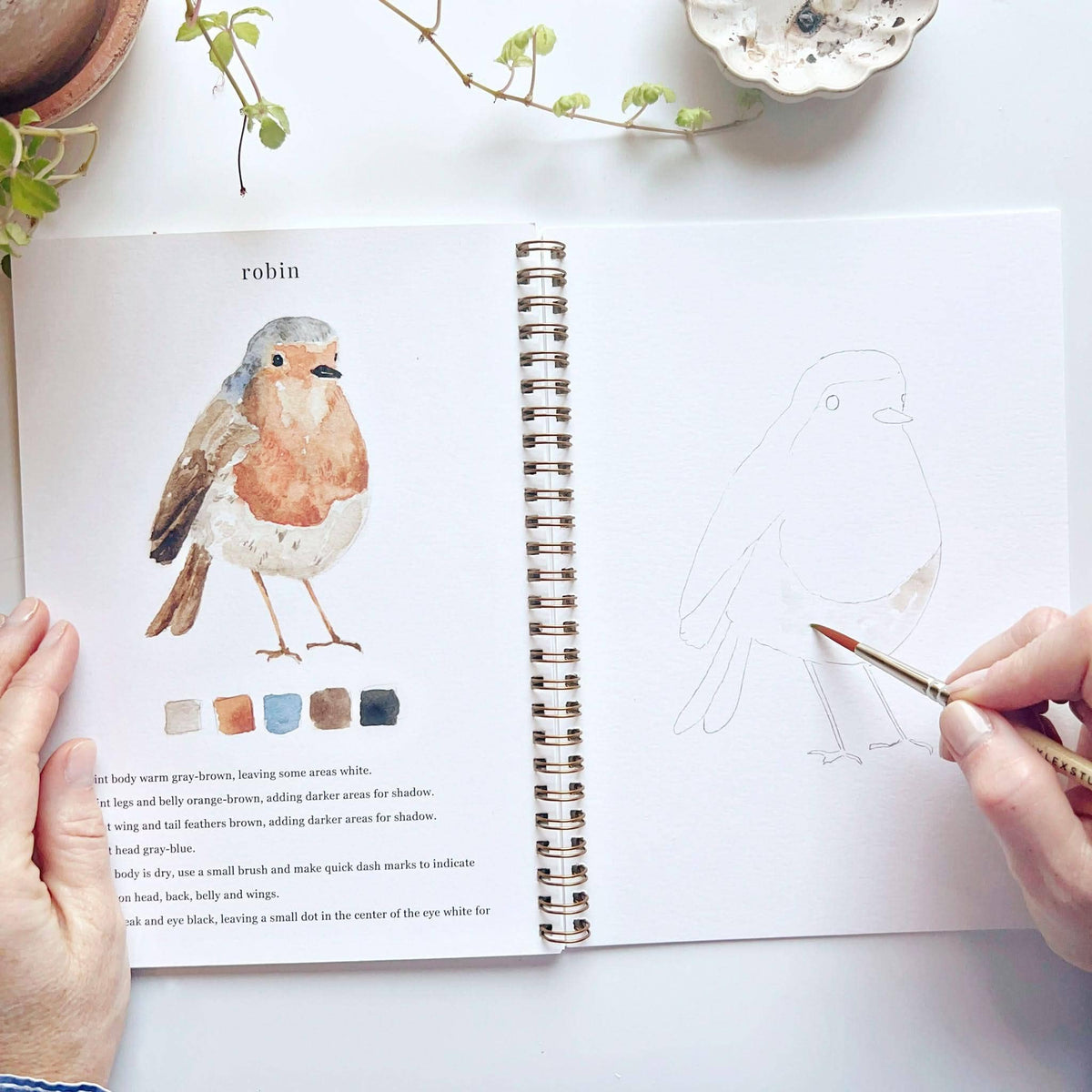 Birds Watercolor Workbook: Emily Lex Studio