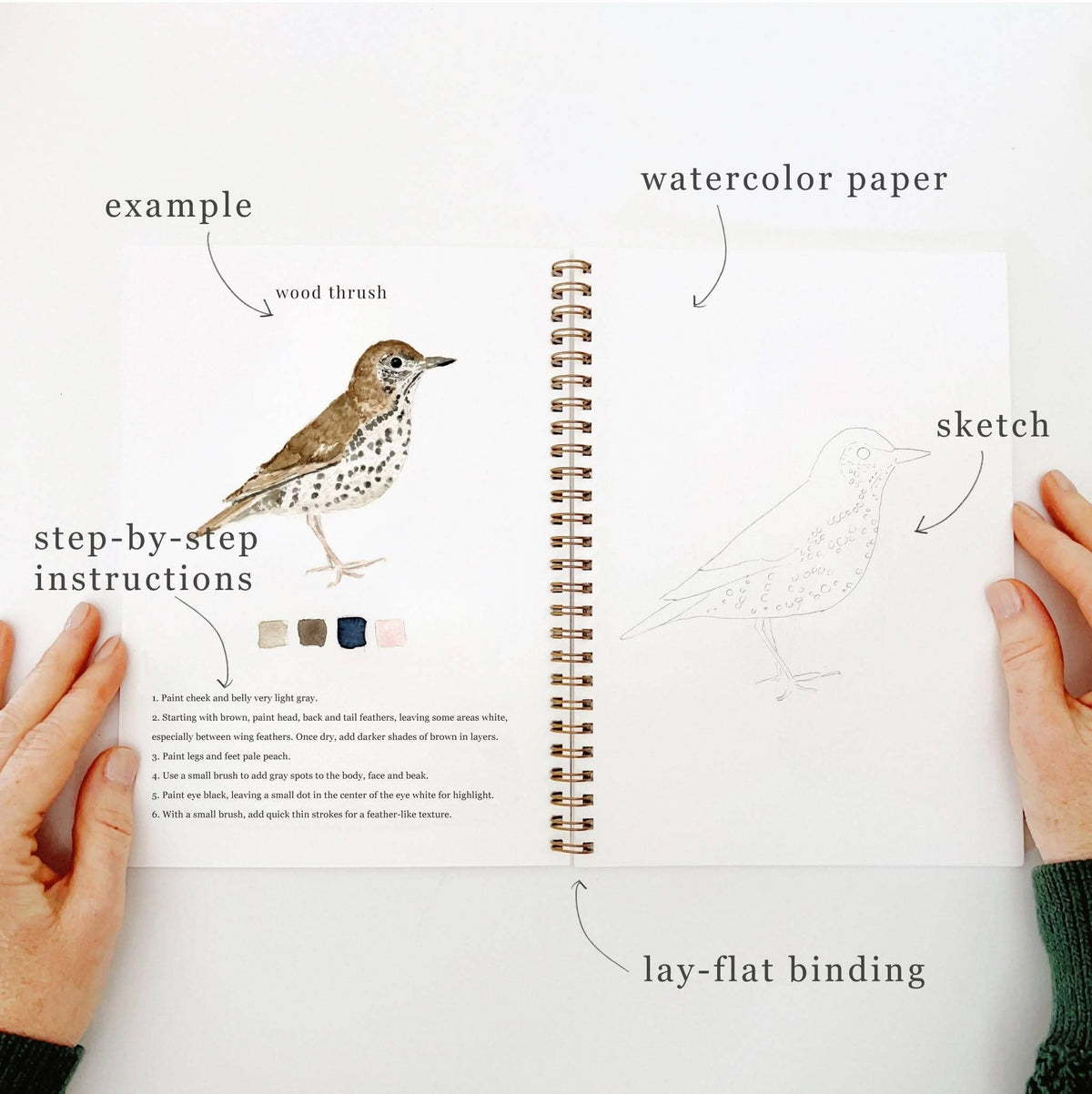 Birds Watercolor Workbook: Emily Lex Studio