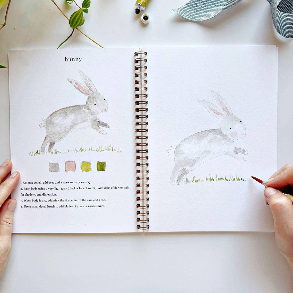 Animals Watercolor Workbook- Emily Lex Studio