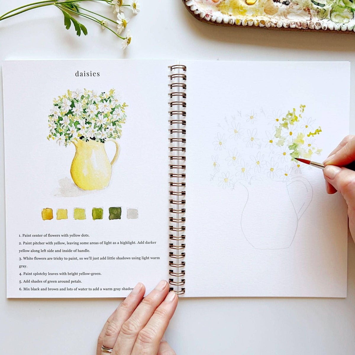 Flowers Watercolor Workbook: Emily Lex Studio