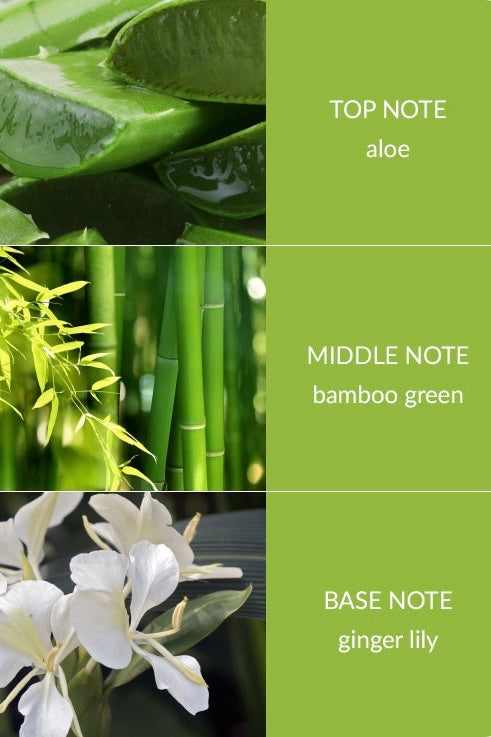Bamboo & Ginger Lily Eco-Friendly Soy Candle & Diffuser Gift Set