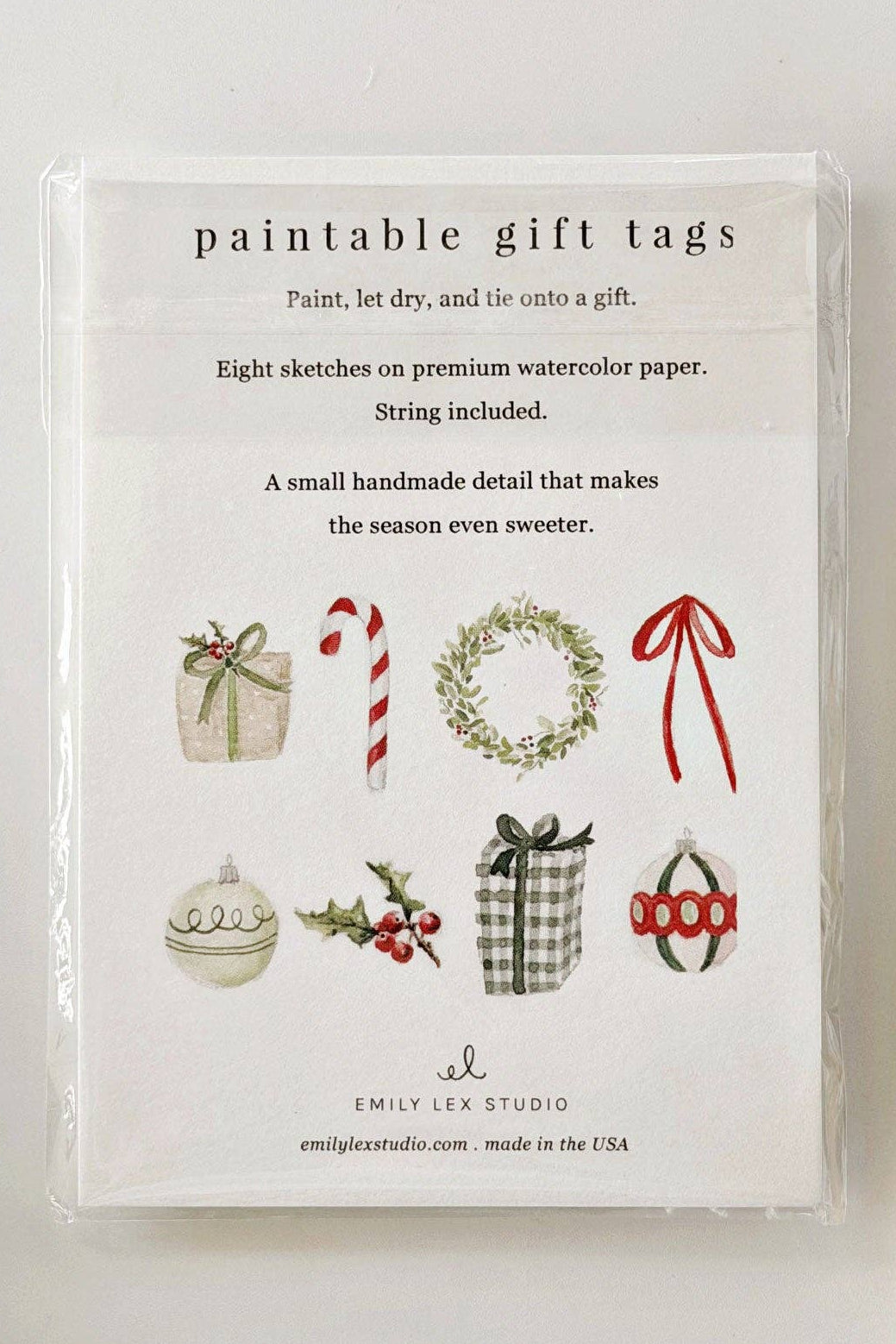 A packaged set of paintable gift tags from Emily Jane Studio, displayed on a light surface with a paintbrush, green-and-white plaid fabric, and evergreen branches. The tags feature illustrated holiday designs such as wrapped gifts, candy canes, a wreath, ornaments, and bows.