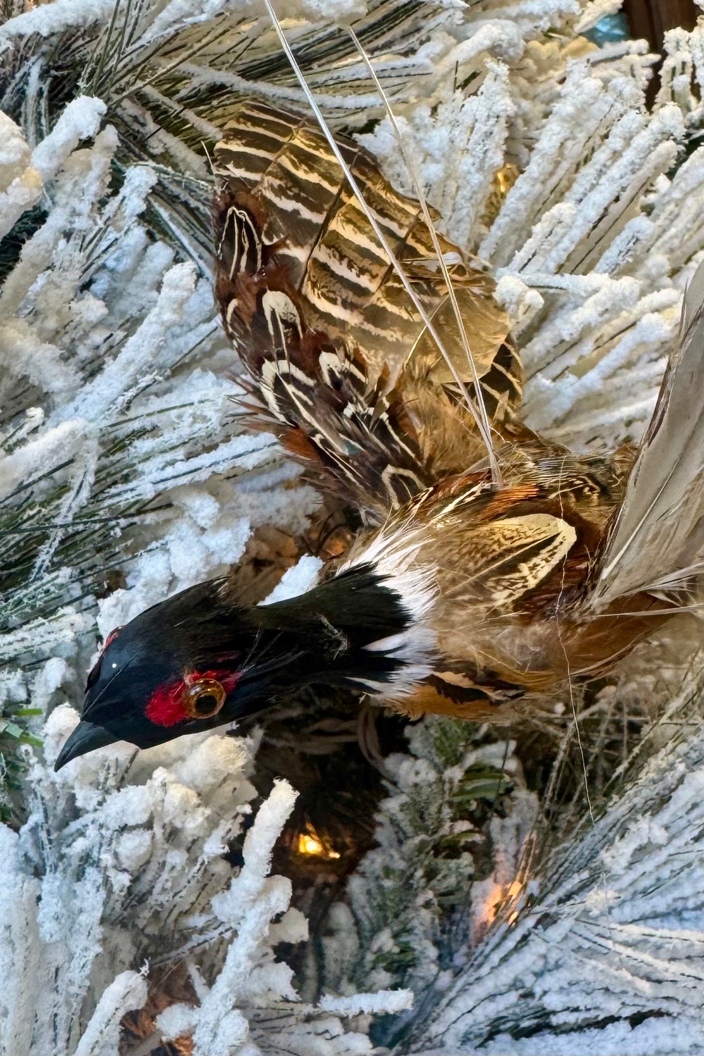 Pheasant Natural Feather Bird Ornament
