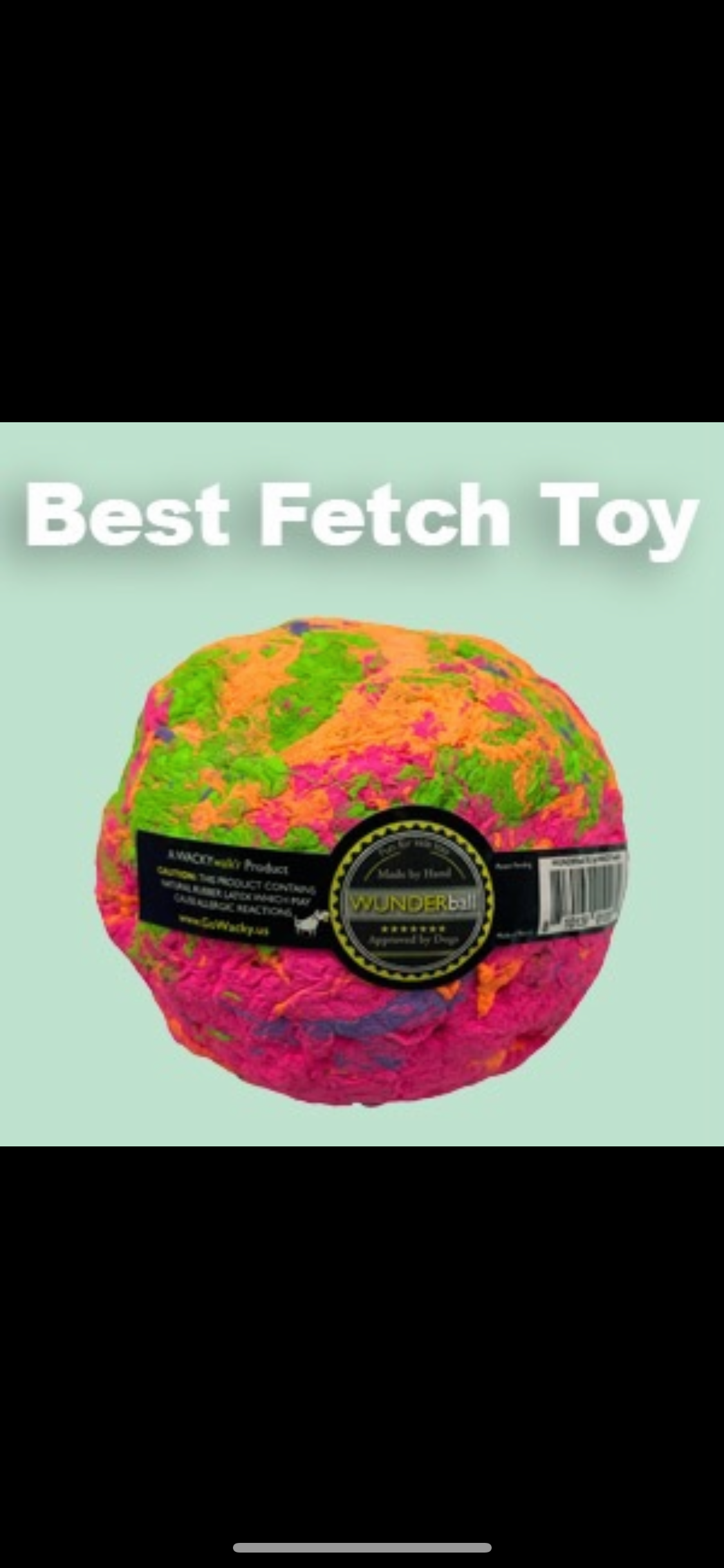 Wunderball Wacky Ball Fetch Toy for Dogs and Kids