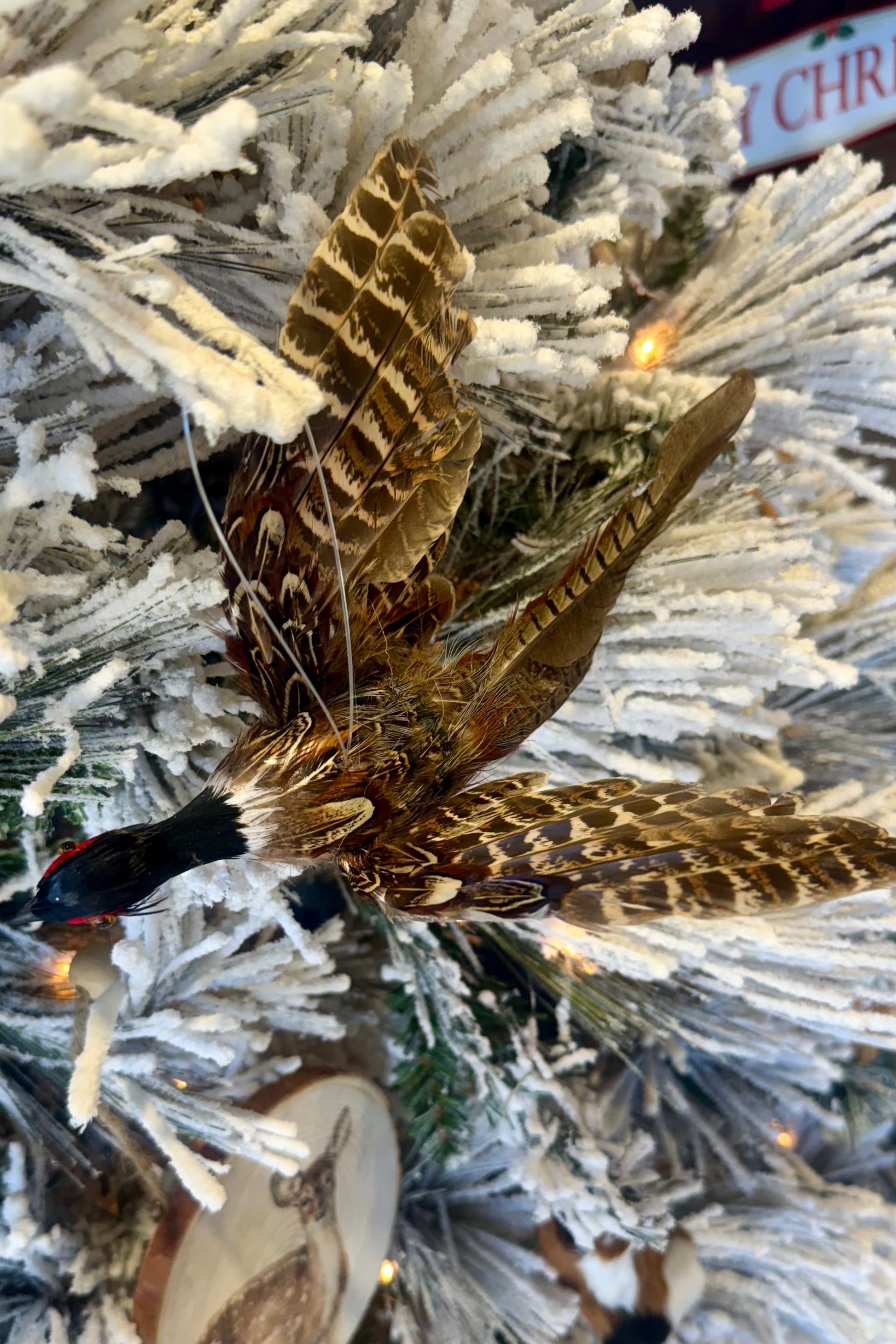 Decorative feather pheasant ornament on a Christmas tree with a blurred background