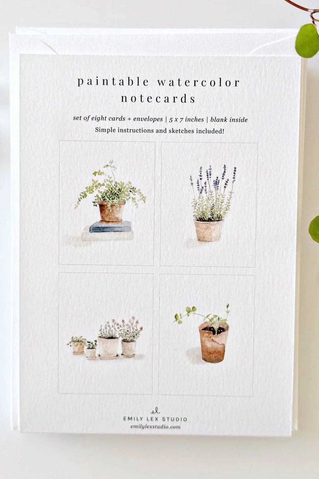 Packaging of paintable watercolor notecards with plant illustrations on a light surface.