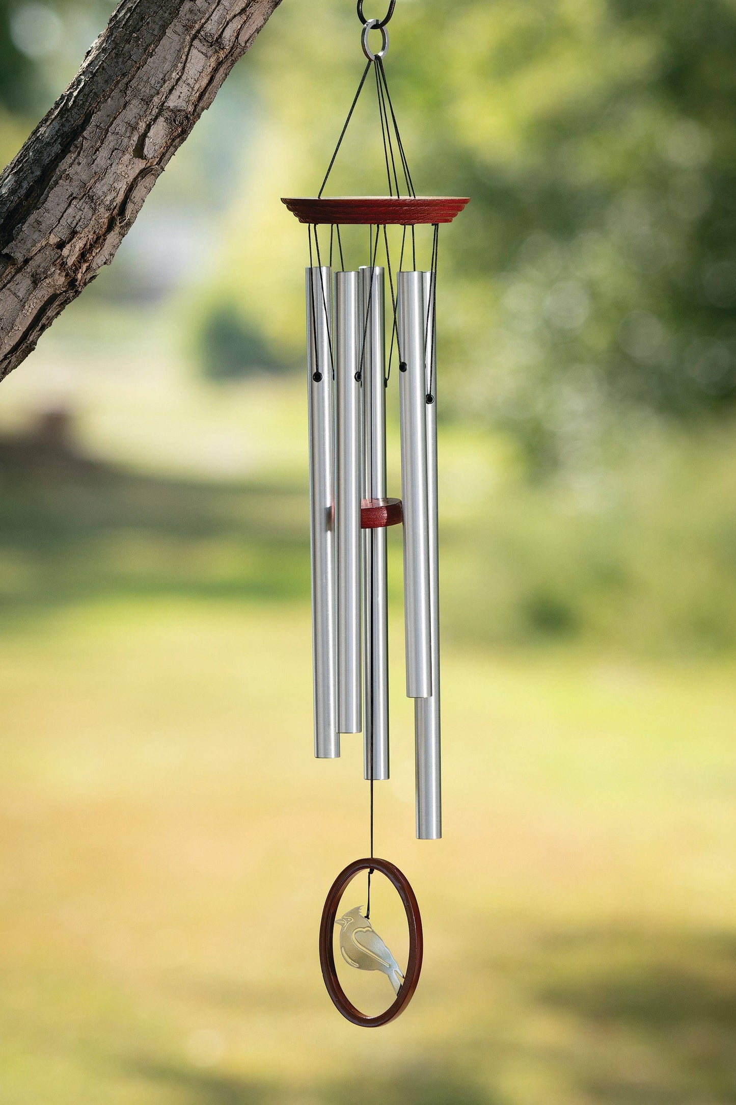 Metal wind chime with cardinal wind catcher hanging from a tree branch with a blurred natural background