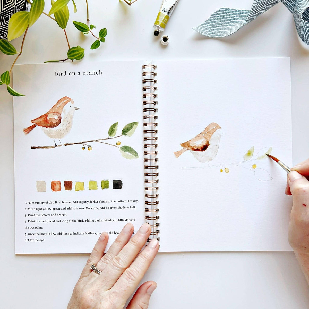 Animals Watercolor Workbook- Emily Lex Studio