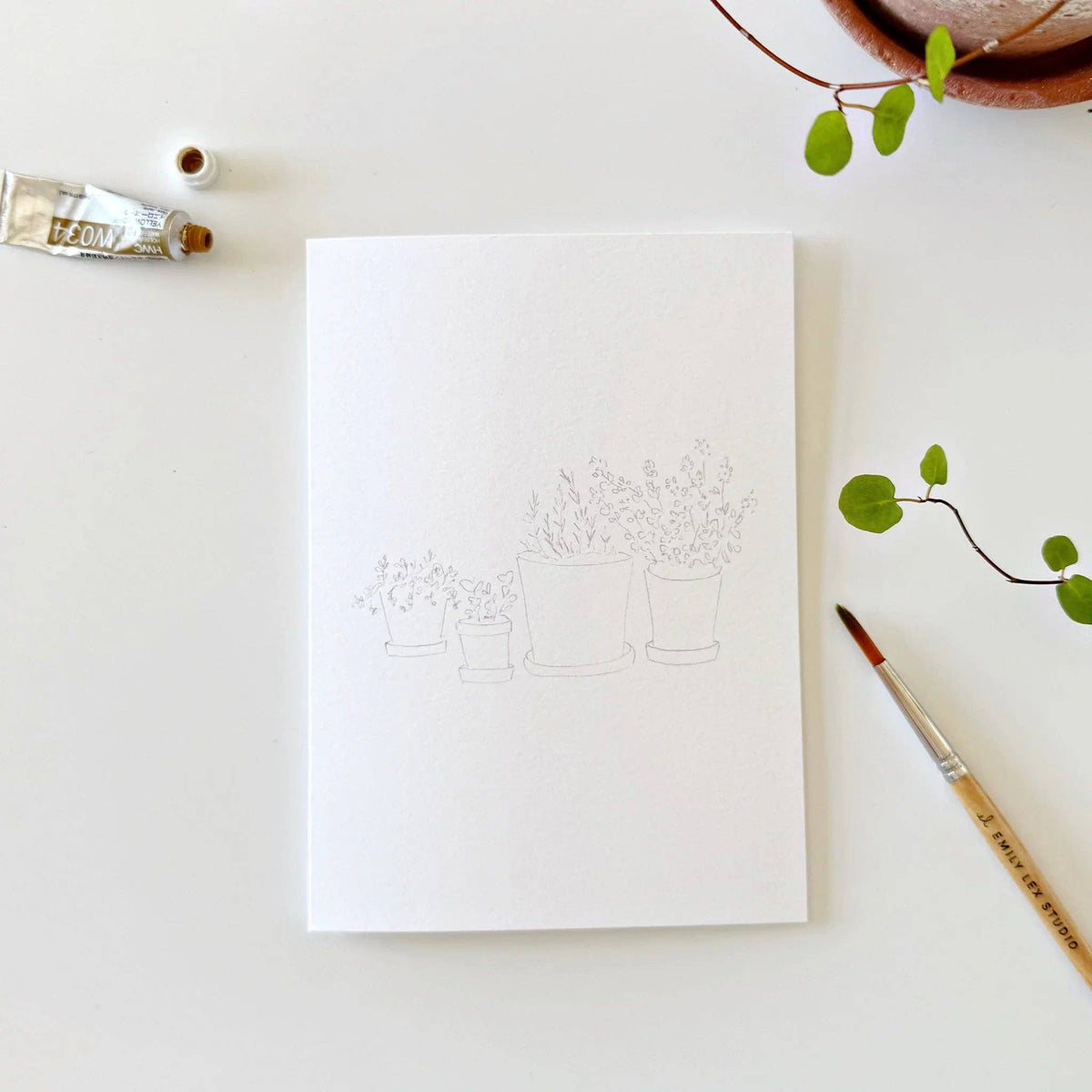 Potted Plants Paintable Watercolor Notecard Set of 8- Emily Lex Studio