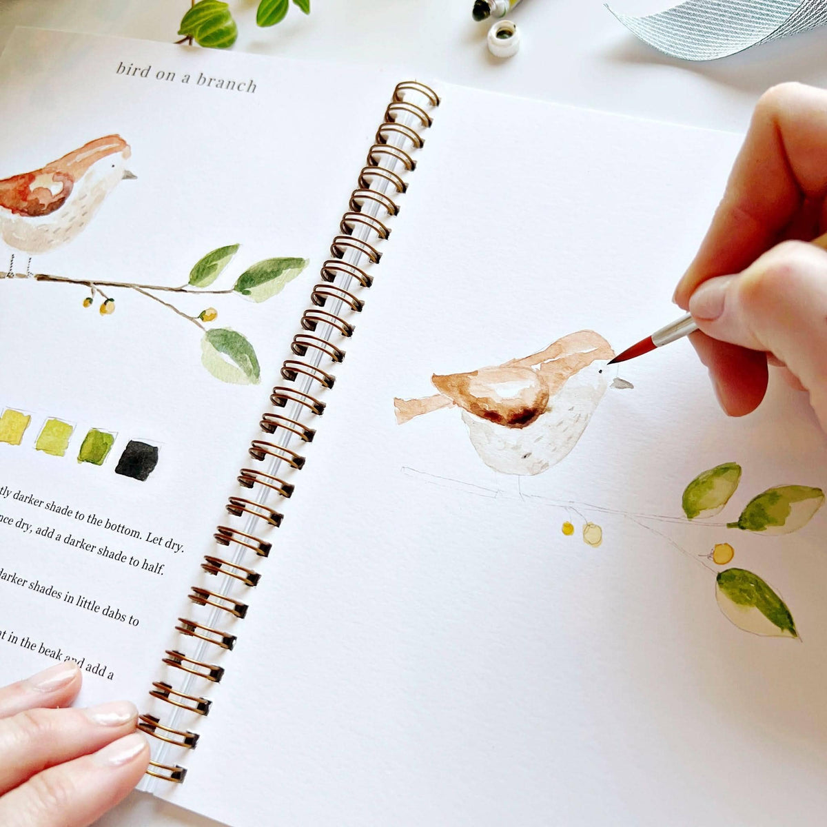 Animals Watercolor Workbook- Emily Lex Studio
