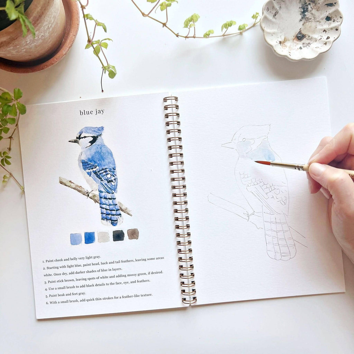 Birds Watercolor Workbook: Emily Lex Studio