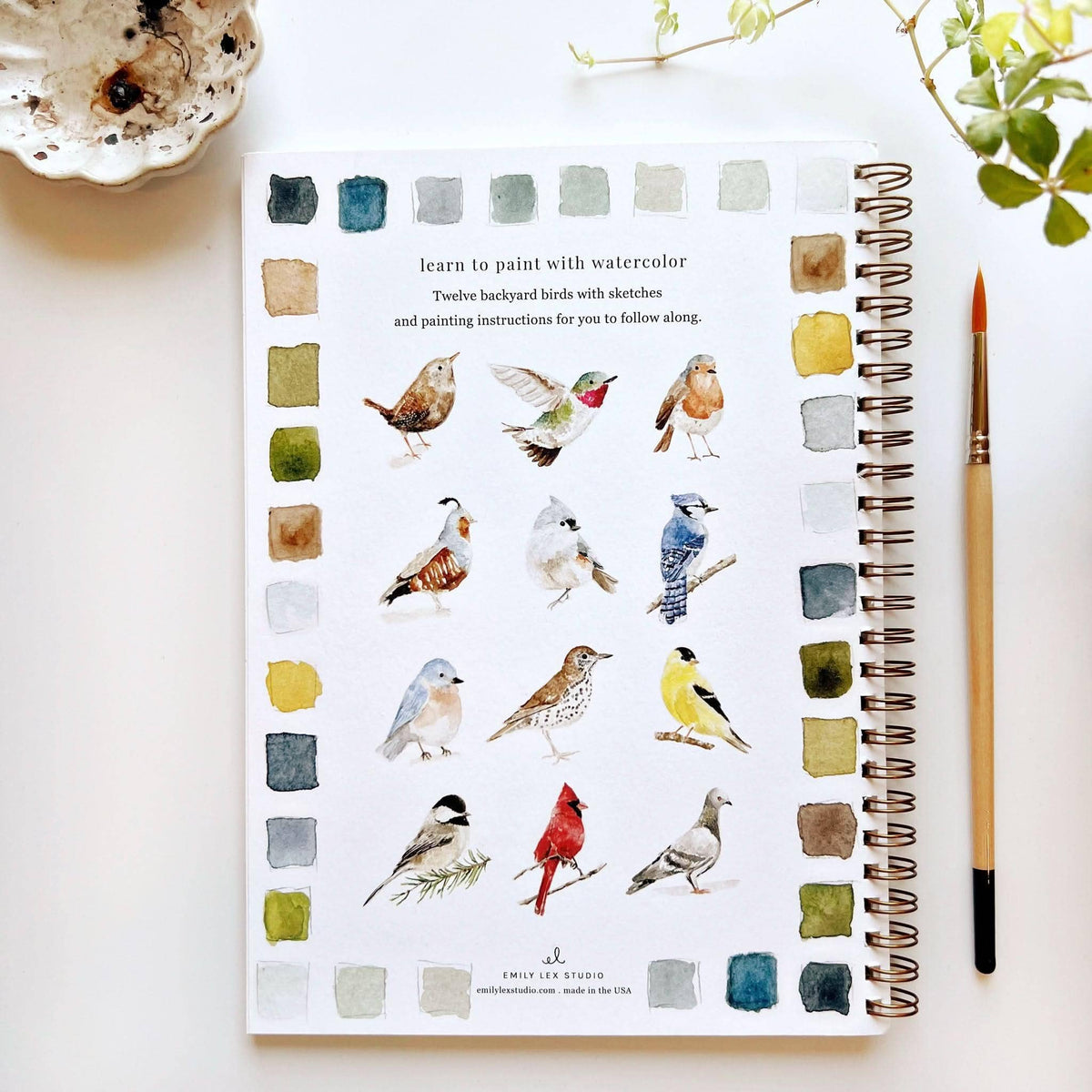Birds Watercolor Workbook: Emily Lex Studio
