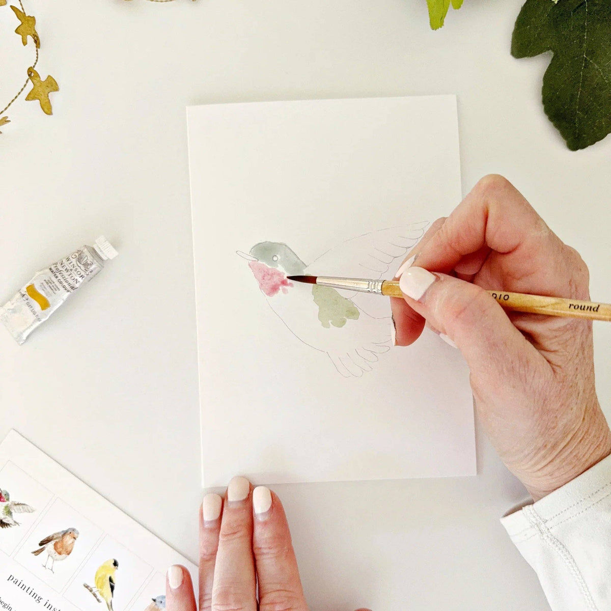 Birds Paintable Watercolor Notecard Set of 8- Emily Lex Studio