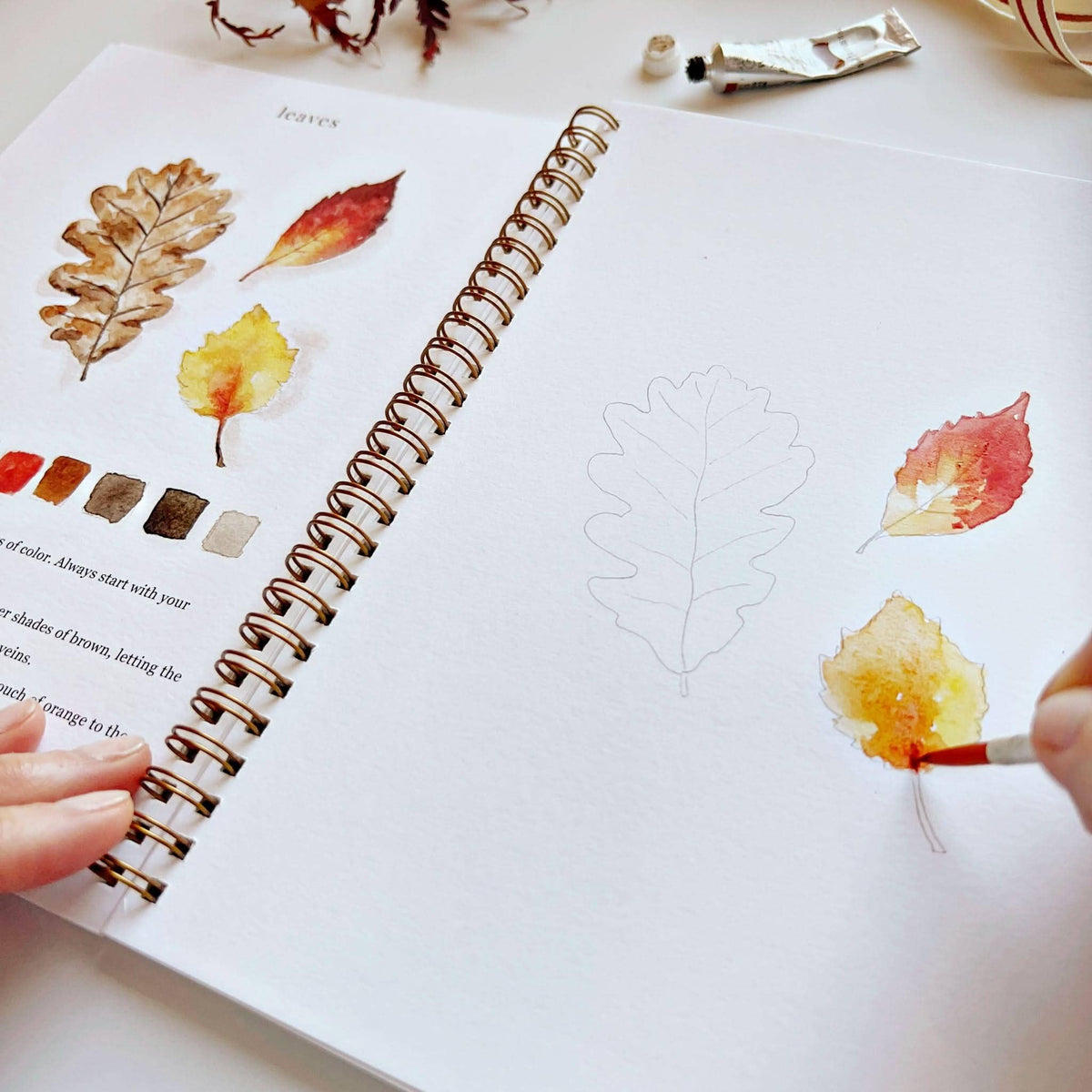 Autumn Watercolor Workbook: Emily Lex Studio