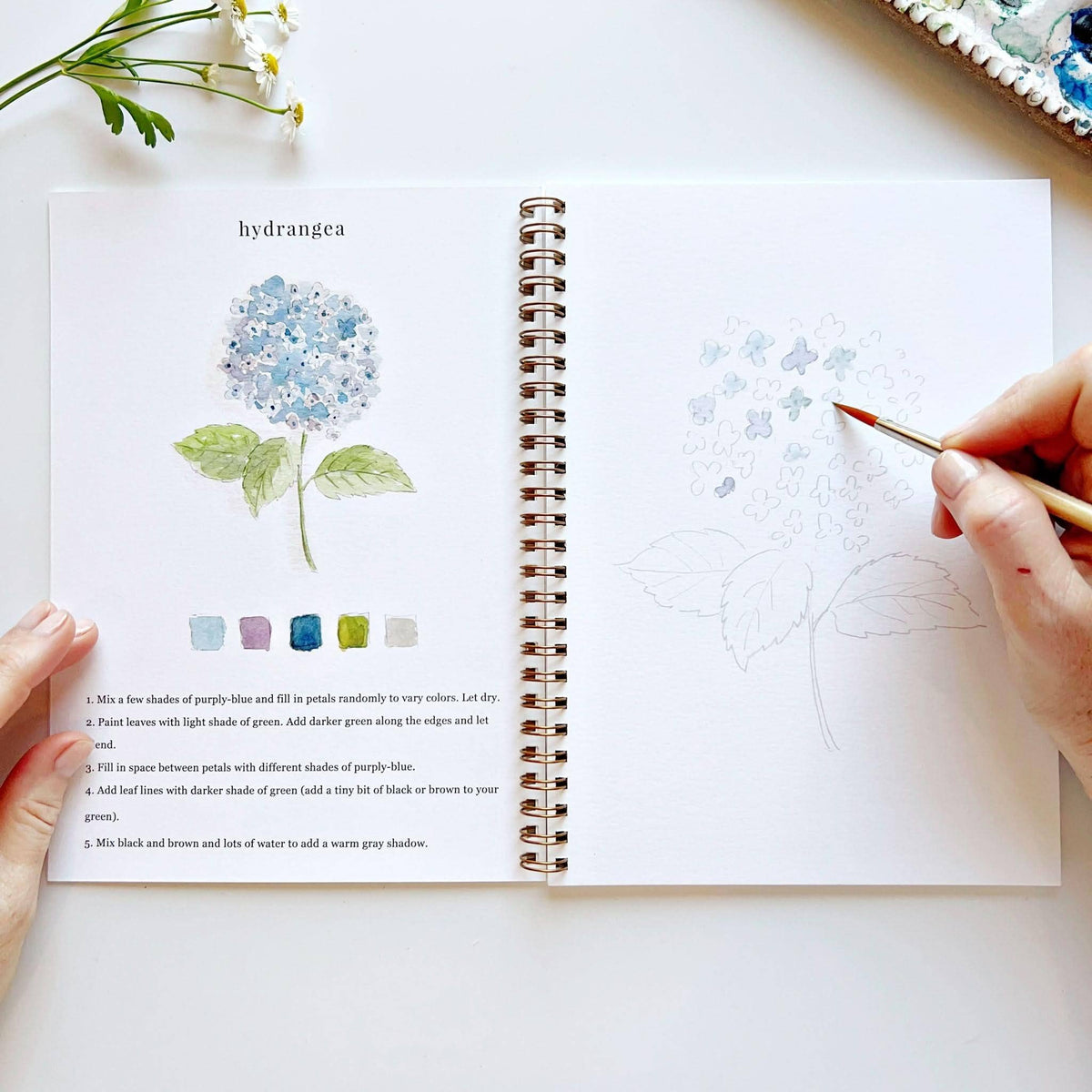 Flowers Watercolor Workbook: Emily Lex Studio